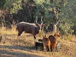 Syeta Bush Lodge