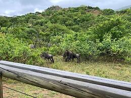 Syeta Bush Lodge