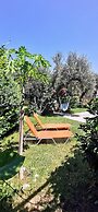 Elia Guesthouse - Kissamos