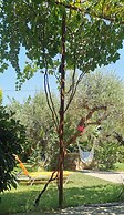 Elia Guesthouse - Kissamos