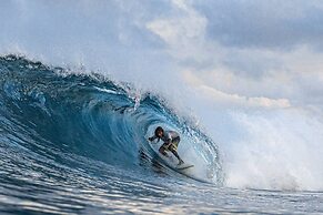 Bibee Surf