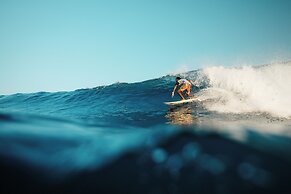 Bibee Surf