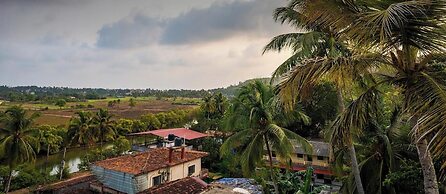 goSTOPS Goa Baga