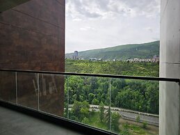 Archi Tamarashvili