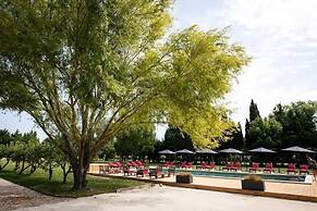 Charming Mas Provencal With Swimming Pool