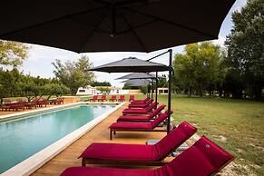 Charming Mas Provencal With Swimming Pool