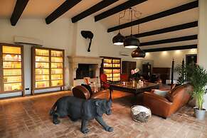 Charming Mas Provencal With Swimming Pool