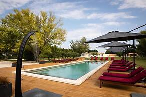Charming Mas Provencal With Swimming Pool