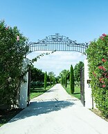 Charming Mas Provencal With Swimming Pool