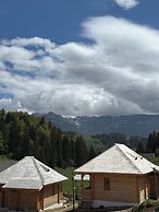 Andolia