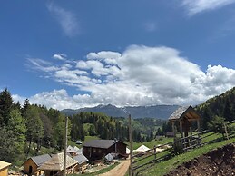 Andolia