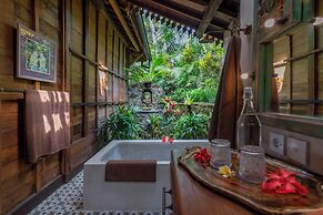 Lumina Wellness Retreat