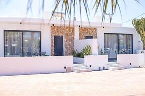 Cactus Suites