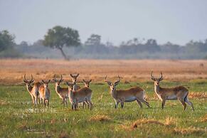 Khwai Mokoro Safaris and Campsites