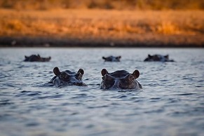 Khwai Mokoro Safaris and Campsites