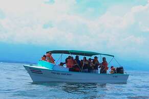 Ballena Paraiso