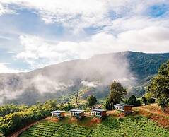Long hug khao homestay