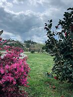 Hotel Quinta da Tulha By VimaHotels