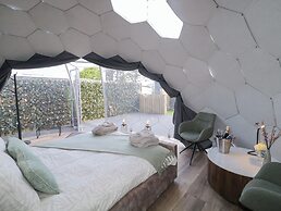 Number 1 Dome