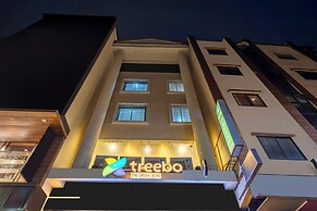 Treebo Green Olive
