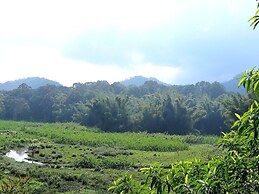 Safariya Forest Inn