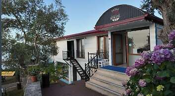 Pasa Tatil Koyu