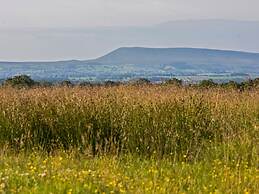 Swaledale 5