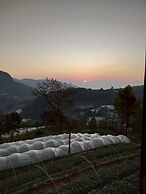 Doymoktawanview