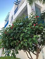 Paphos Blue Tasteful Apartment Complex Pool View