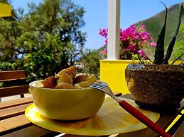 Lemon House Borsh