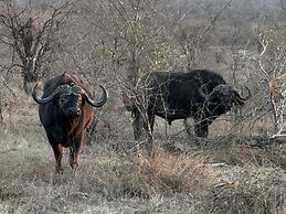 Timbila Game Lodge