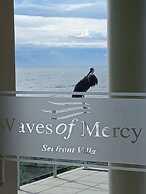 Waves of Mercy