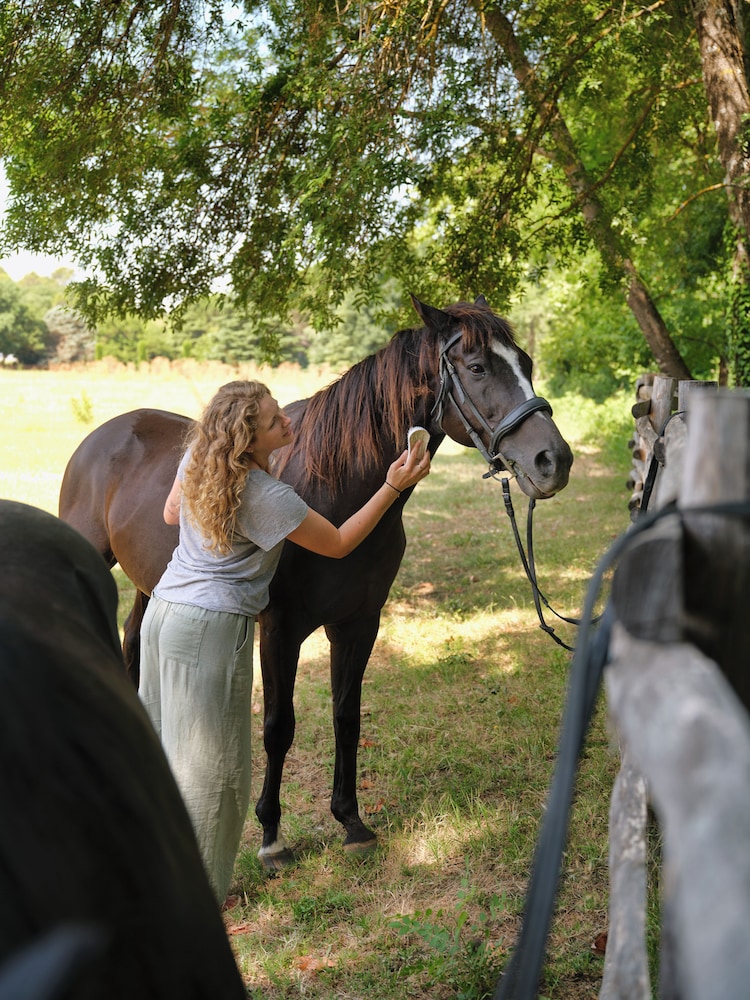Ferme Saint-Georges en Provence