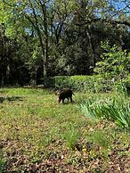Ferme Saint-Georges en Provence