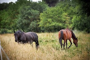 Ferme Saint-Georges en Provence