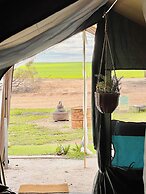 Candlelight Country Experience