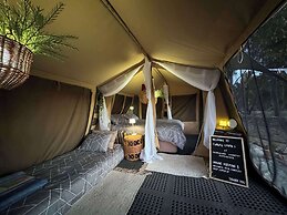 Candlelight Country Experience