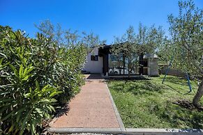 House Stella Nature