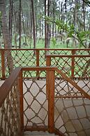 The TALAY