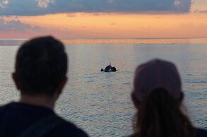 Eri Maldives