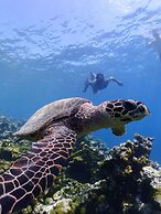 Eri Maldives