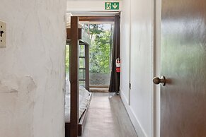 Birch View Chalets