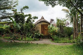 Aranka Tempasan
