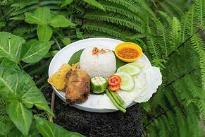 Aranka Tempasan