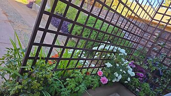 Flower Lane Guesthouse