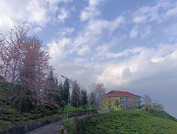 Cherry Resort