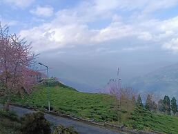 Cherry Resort