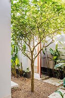 Botanica Modern By Villacarte 159/38