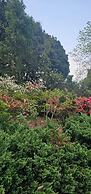 Bougainvilla Mountain Retreat