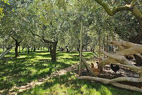 Casa Oliva Kim Marie